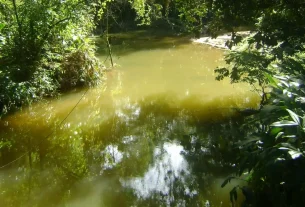 Μίσθωση Μηχανημάτων για τον καθαρισμό υδατορεμάτων