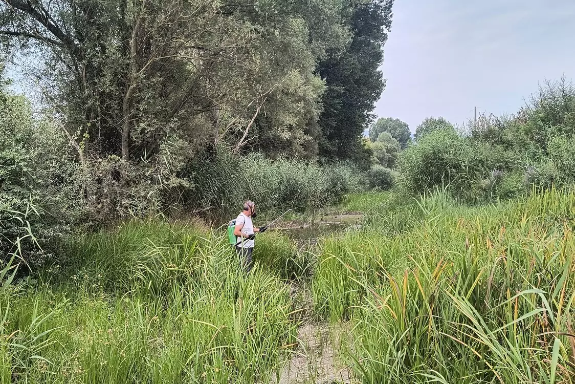 Πρόγραμμα κίνησης συνεργείων για το Έργο Καταπολέμησης Κουνουπιών ΠΔΜ 2023-2025